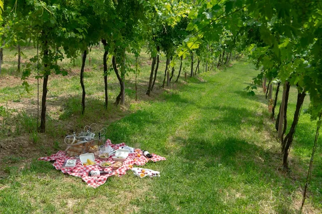 Massimago Wine Relais، فيرونا 40/50