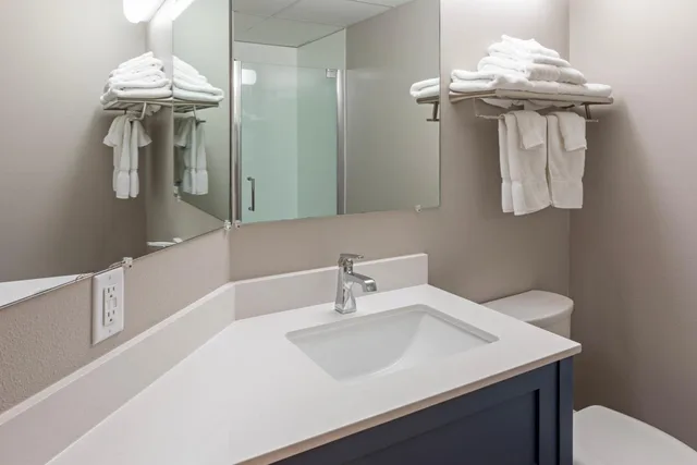 جناح ديلوكس بسرير كينج، Paynesville Inn And Suites 6/6