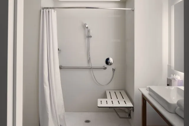 Standard, King Bed, Accessible, Element Asheville Downtown 10/10
