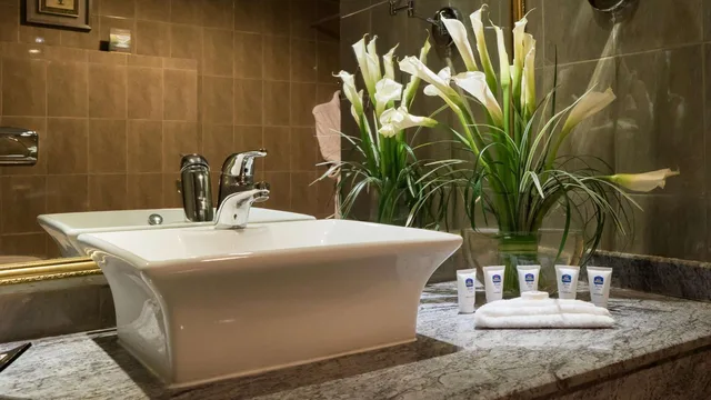 Junior Suite, Twin Beds, Best Western Plus Doha 8/8
