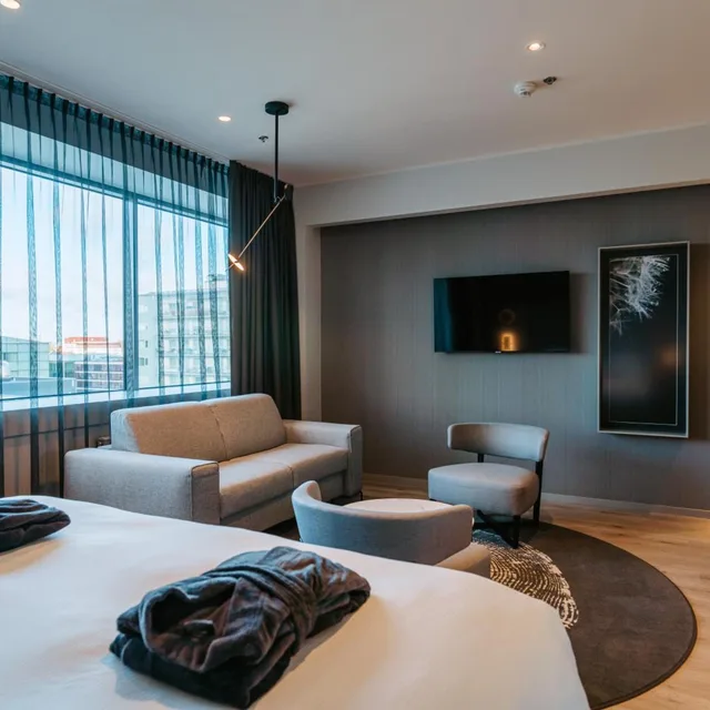 غرفة ديلوكس بسرير مزدوج، Tallink City Hotel 2/7