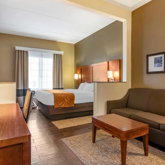 جناح ديلوكس بسرير كينج، Comfort Suites Grand Rapids South 4/5