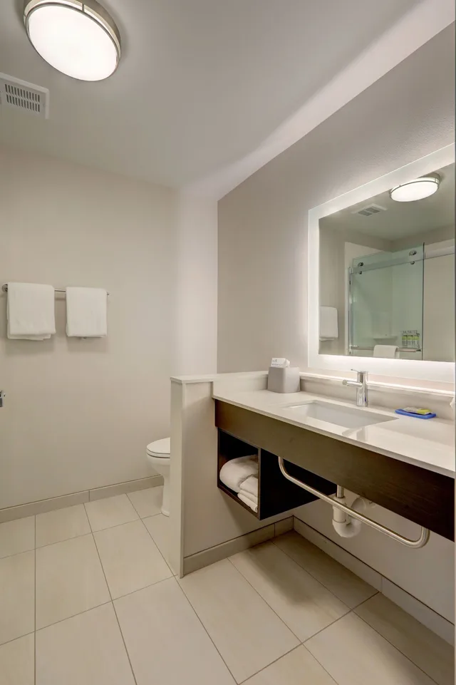 Standard, Single Bed, Sofa, Holiday Inn Express & Suites Auburn Downtown 2/3