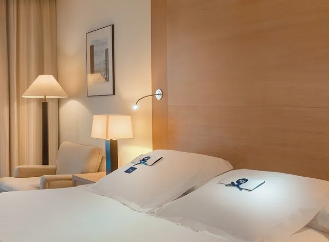 غرفة قياسية بسرير مزدوج، SH Valencia Palace 3/5