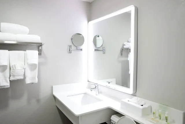 جناح بسرير كينج، HOLIDAY INN CHICAGO OAKBROOK 3/4