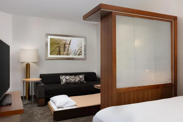 جناح بسريرين كوين مع سرير سحّاب إضافي مع أريكة لذوي الإعاقة، Springhill Suites By Marriott Grand Junction Downtown Historic Main St 2/5