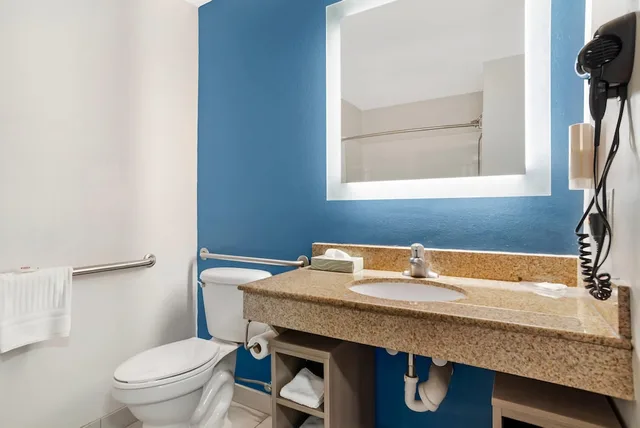 غرفة بسرير كينج لذوي الإعاقة، Comfort Inn & Suites Dothan Northside Plaza 8/10