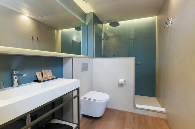 غرفة كلاسيكية مفردة بسرير مزدوج، Medinaceli Hotel 7/7