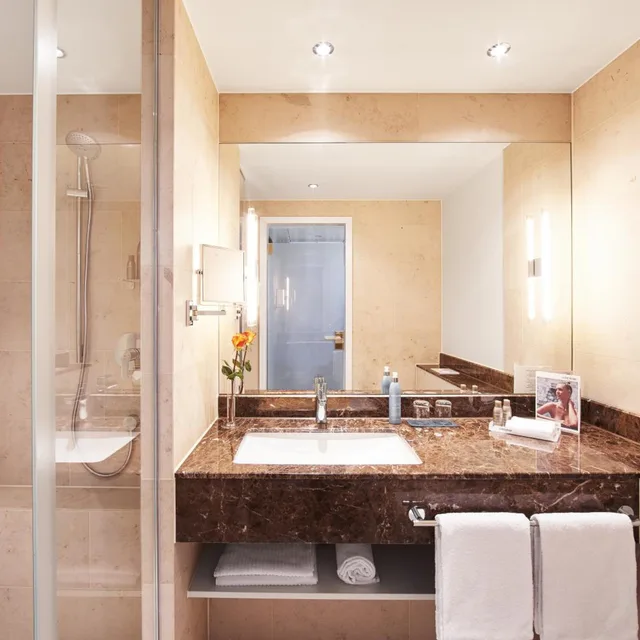 غرفة كلاسيكية، Parkhotel Heilbronn 5/5