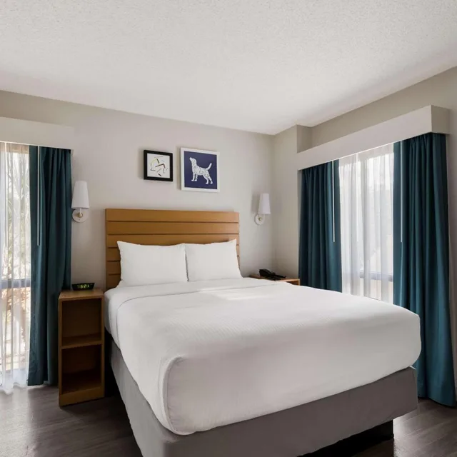 جناح بسرير كينج وسرير كوين بغرفتي نوم، Sonesta ES Suites Orlando International Drive 10/14