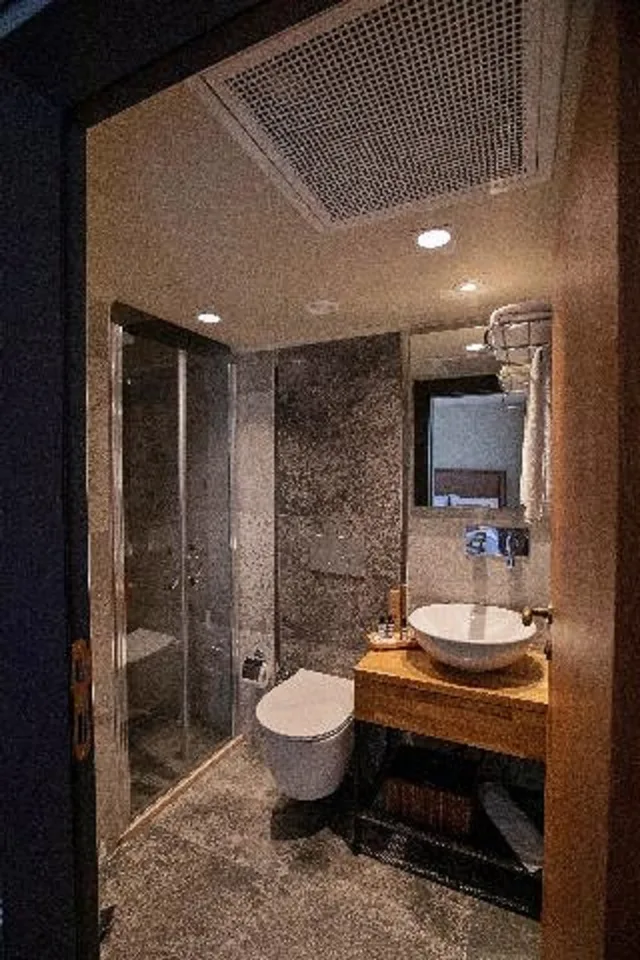 غرفة اقتصادية بسرير كوين، Root Karakoy Bosphorus Hotel and Spa 2/2