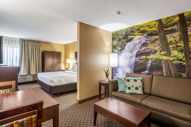 جناح بسرير كينج، Clarion Pointe Harrisonburg 2/3