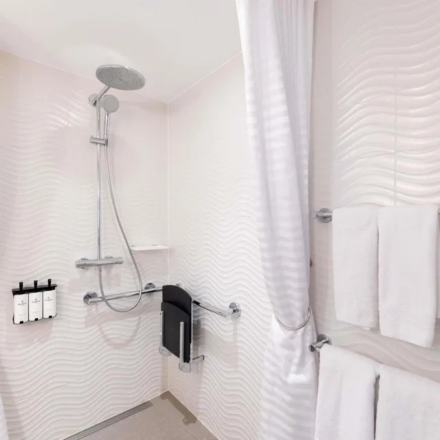 غرفة فاخرة بسرير كينج بإطلالة لذوي الإعاقة، Sofitel Strasbourg Grande Ile Hotel 8/10