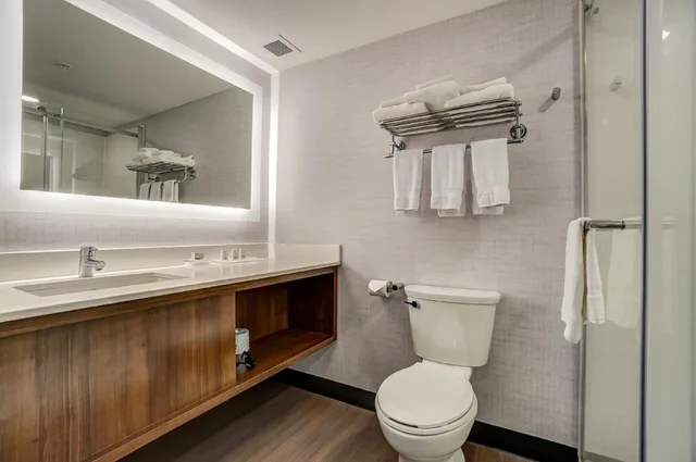 غرفة قياسية بسرير كينج وسريرين كوين، Holiday Inn Gatineau – Ottawa 5/10