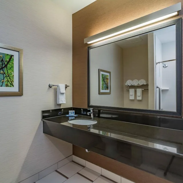 جناح بسرير كوين، Fairfield Inn And Suites By Marriott Elkhart 2/3