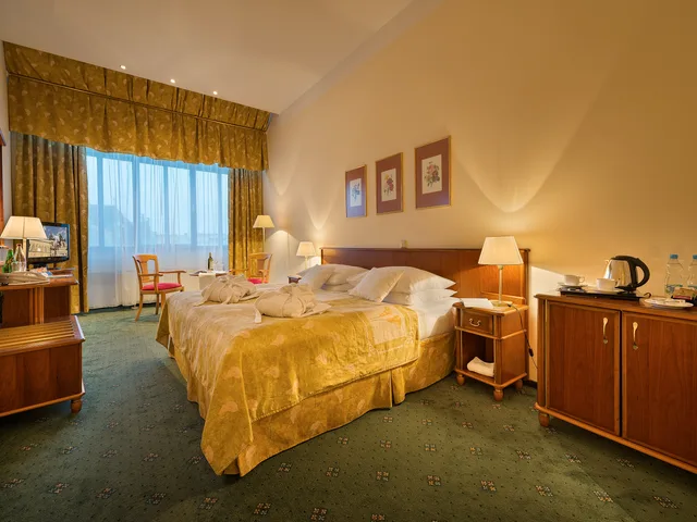 غرفة تنفيذية بسرير مزدوج، Ea Hotel Rokoko 1/2