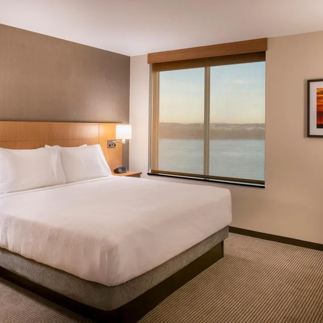 جناح بسرير كينج بغرفة نوم واحدة مع أريكة، Hyatt Place East Moline/Quad Cities 1/2