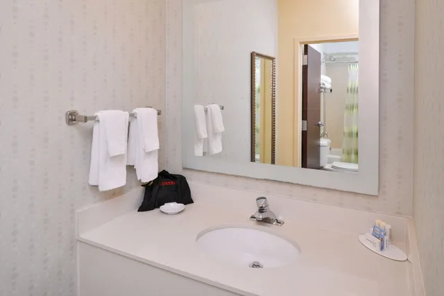 استوديو بسرير كينج مع أريكة، Springhill Suites Pinehurst Southern Pines 4/4