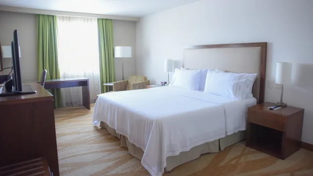 غرفة بسرير كينج لذوي الإعاقة، Holiday Inn Express and Suites Celaya 2/3