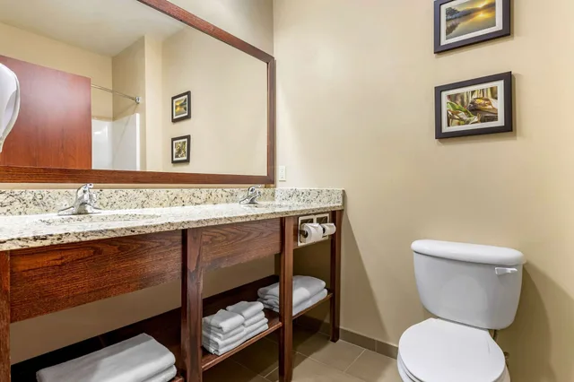 جناح بسرير كينج مع أريكة، Comfort Inn and Suites Davenport Quad Cities 7/7
