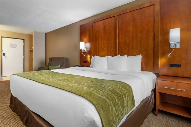 غرفة قياسية بسرير كينج، Comfort Inn Romeoville - Bolingbrook 6/10