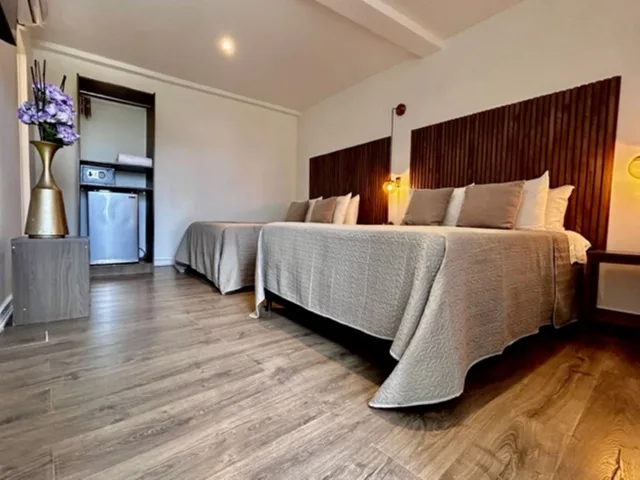 غرفة قياسية رباعية، Ataraxy Hotel Boutique 4/10