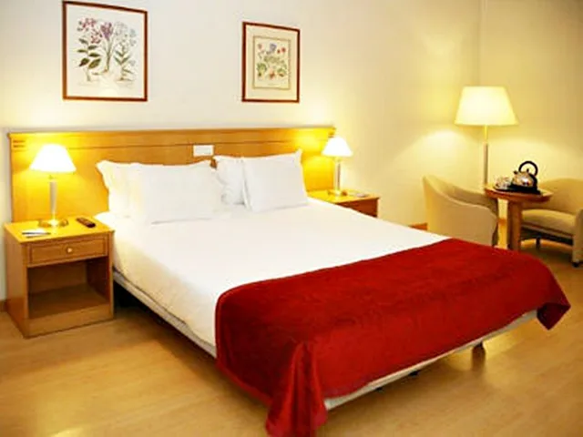 غرفة قياسية بسرير مزدوج، Tryp By Wyndham Porto Centro Hotel 2/7