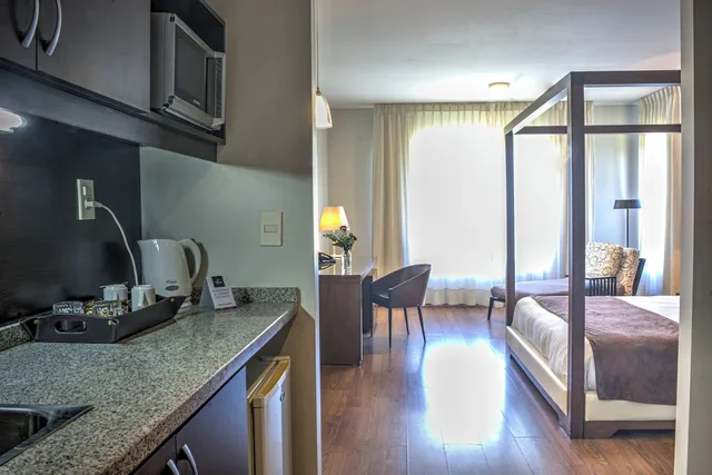 غرفة بريميوم بسرير كينج، Regency Park Hotel 1/1