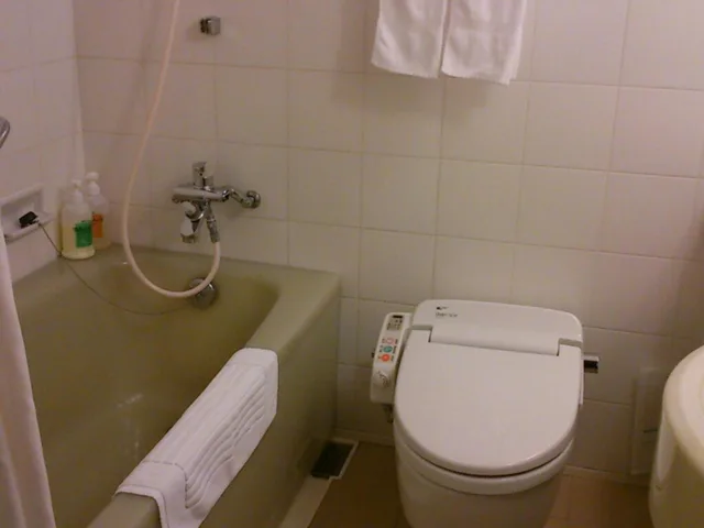 Deluxe, Single Bed, Hotel Grand Terrace Toyama 6/6