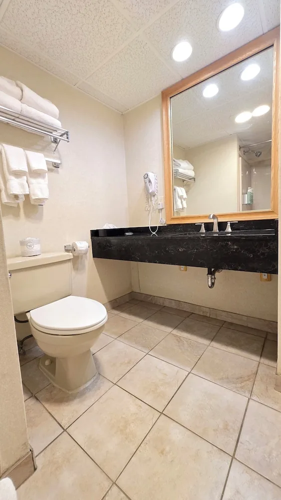 غرفة قياسية بسرير كينج يُسمح فيها بالحيوانات الأليفة، Best Western Clifton Park 5/5