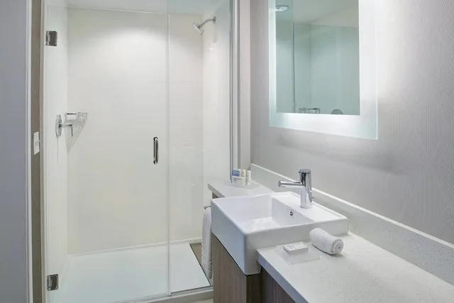جناح بسرير كينج بإطلالة على المدينة لذوي الإعاقة، Springhill Suites Detroit Wixom 5/5