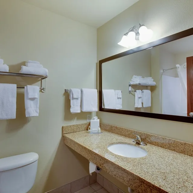 Room, King Bed, Cobblestone Inn & Suites Durand 6/8
