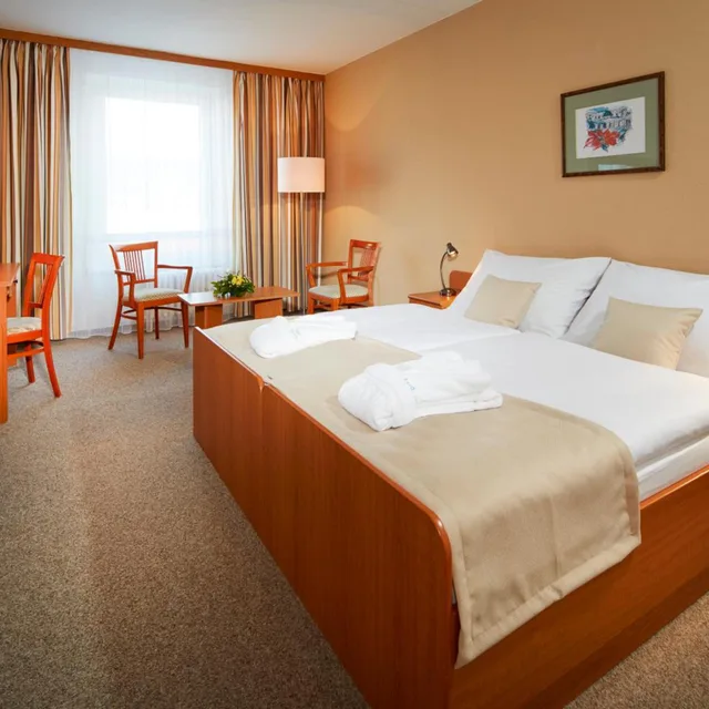 Superior, Double or Twin Bed, City View, Spa hotel Devin 1/3