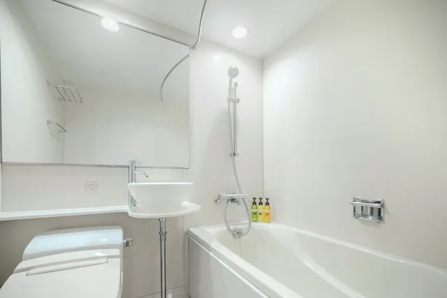 Renovated, Standard, Queen Bed، Hotel Mystays Nagoya Sakae 2/2