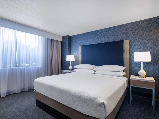 جناح بسرير كينج بغرفة نوم واحدة لذوي الإعاقة، Embassy Suites By Hilton Baltimore Hunt Valley 1/5
