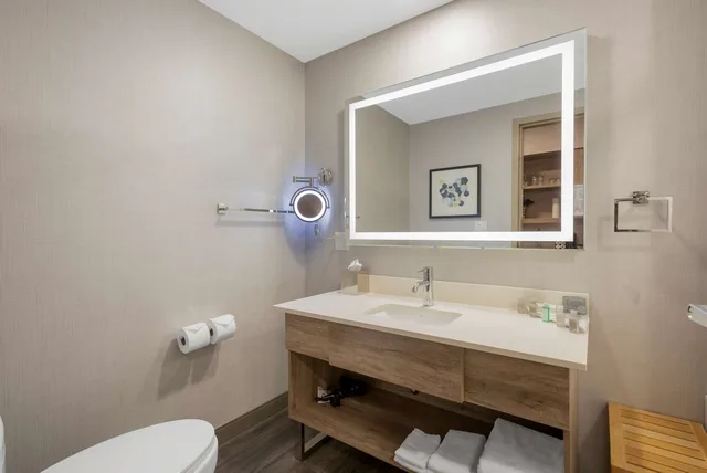 Executive, Suite, King Bed, Sofa, Kitchen, Large, Best Western Premier Executive Residency Medicine Hat 3/10