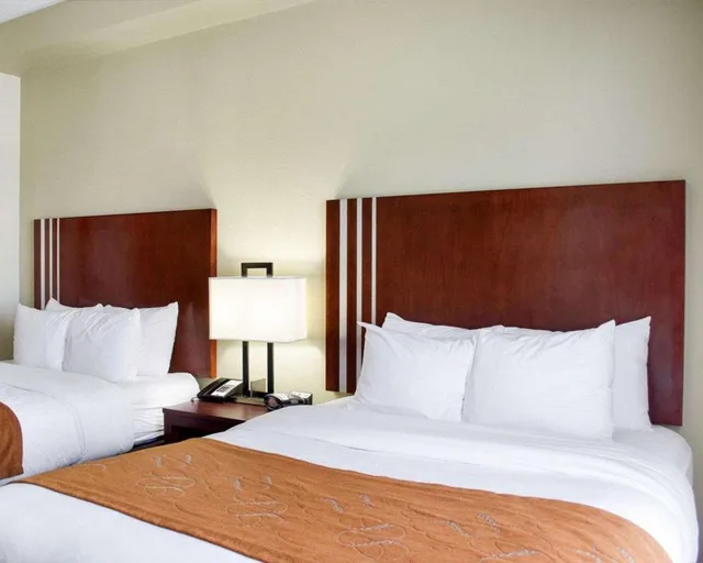 جناح بسريرين كوين لذوي الإعاقة، Comfort Suites Greenwood MS 2/4