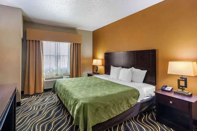 جناح بزنس بسرير كينج مع أريكة لذوي الإعاقة، Quality Suites Addison-Dallas 1/5
