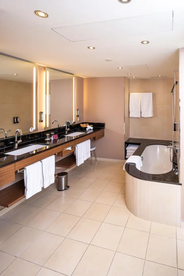 1 Bedroom, Sky, Suite، Movenpick Hotel Geneva 6/6
