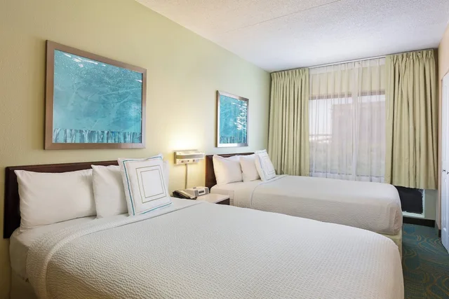 استوديو بسريرين مزدوجين مع أريكة، Springhill Suites by Marriott Austin South 1/5