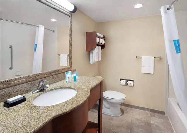 Studio, Suite, King Bed, Sofa, Hampton Inn & Suites Alexandria Old Town Area South 5/8