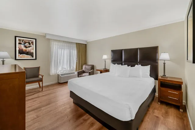 Standard, King Bed, Accessible, Best Western Plus Northwoods Inn 1/10