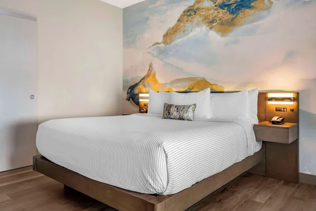 جناح بسرير كينج لذوي الإعاقة، Cambria Hotel Orlando Airport FL 1/6