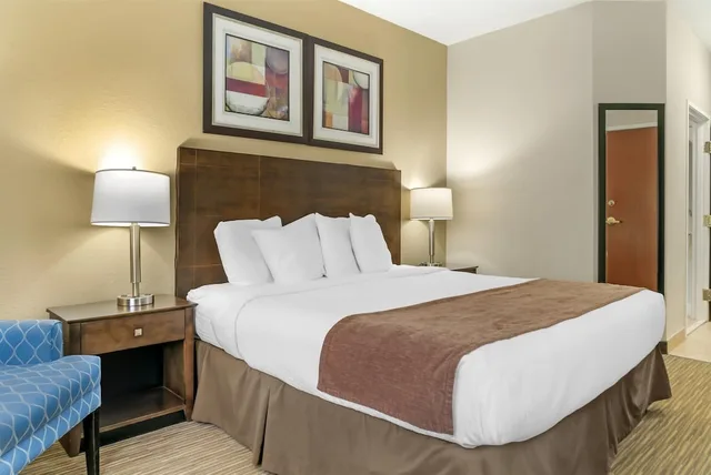 غرفة قياسية بسرير كينج لذوي الإعاقة، Best Western Port Huron Blue Water Bridge 3/7