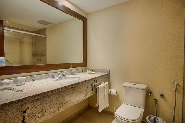 Deluxe, Twin Beds, Quality Hotel Curitiba 3/3