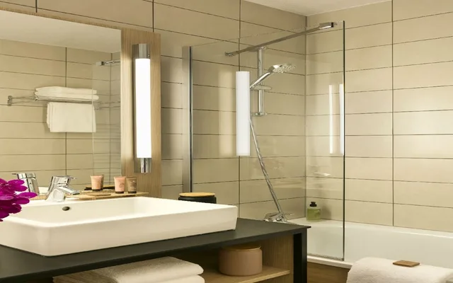 شقة بسرير مزدوج بغرفة نوم واحدة مع أريكة، Citadines Strasbourg Kleber 3/3