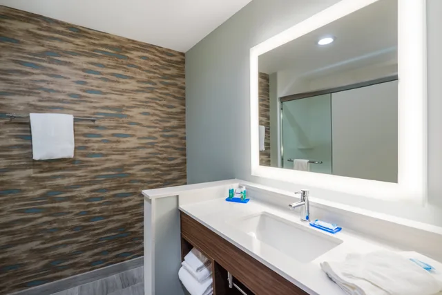 Leisure, King Bed، Holiday Inn Express Suites Greenville Se Simpsonville 3/4