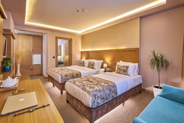غرفة قياسية بسرير كوين، Atro Hotel 6/9