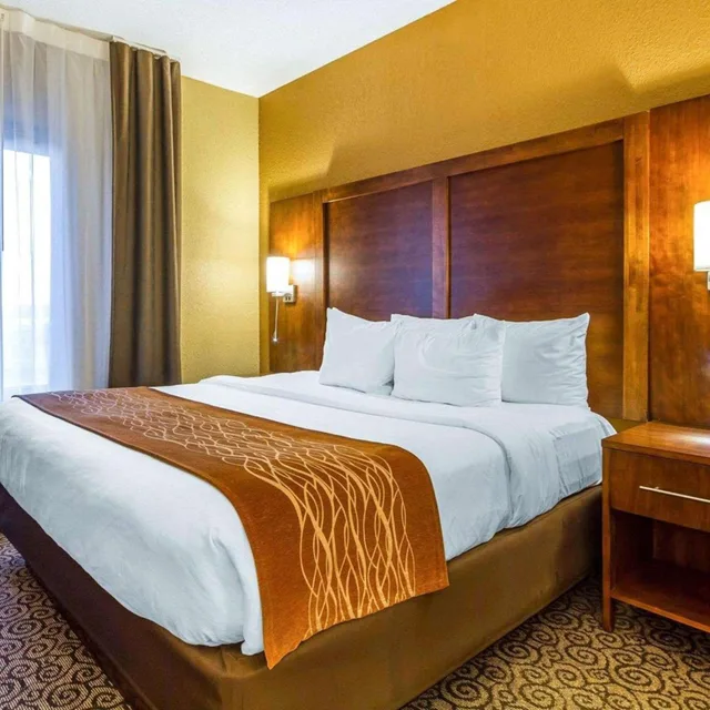 جناح بسرير كينج مع أريكة، Comfort Suites Ramsey MN 2/6