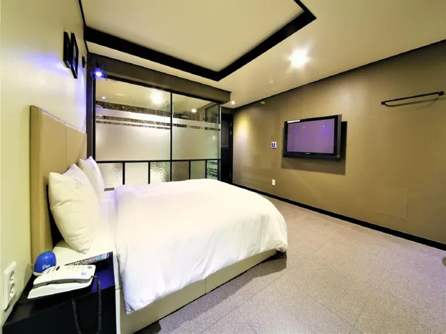 غرفة قياسية بسرير مزدوج، Elysee Hotel 7/10